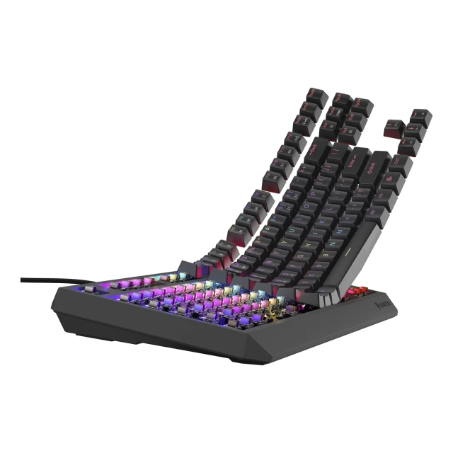 Клавіатура Genesis Thor 230 TKL ігрова USB US розкладка Black (5901969443295)