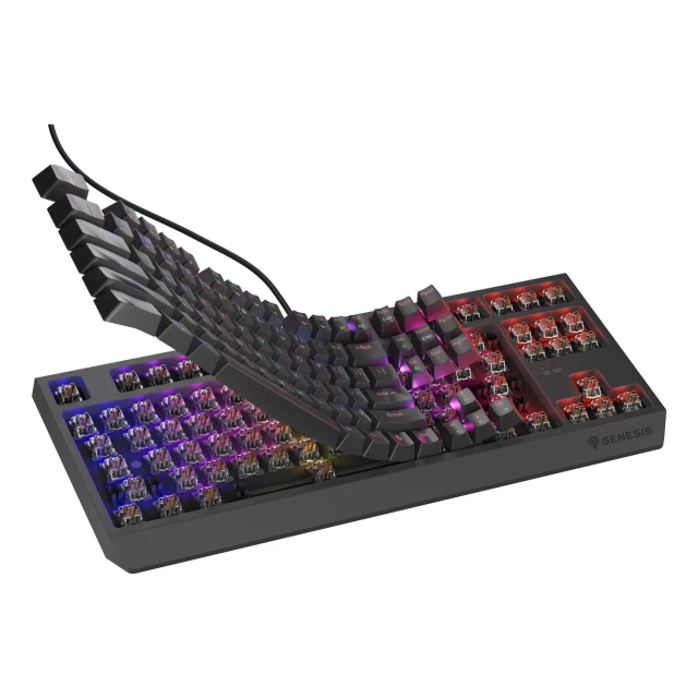 Клавіатура Genesis Thor 230 TKL ігрова USB US розкладка Black (5901969443295)