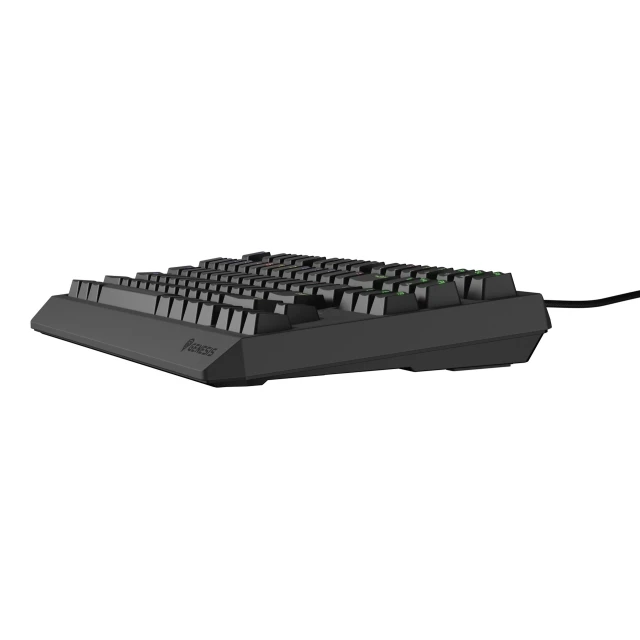Клавіатура Genesis Thor 230 TKL ігрова USB US розкладка Black (5901969443295)