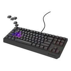 Клавиатура Genesis Thor 230 TKL игровая USB US раскладка Black (5901969443295)