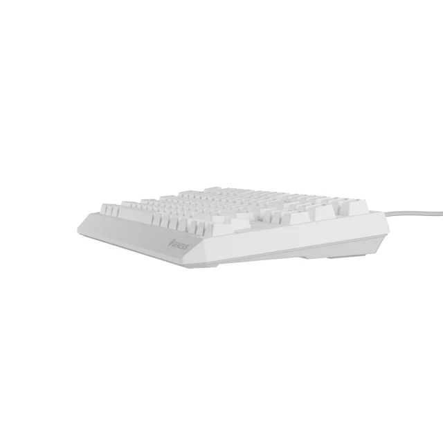 Клавіатура Genesis Thor 230 TKL USB RF Wireless US розкладка Black (5901969443301)
