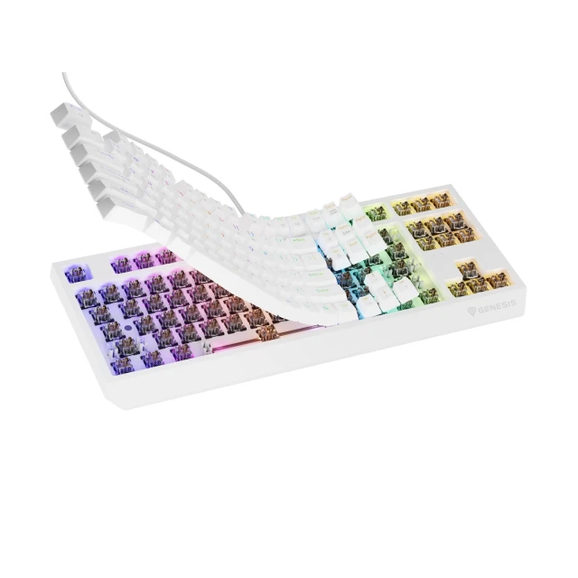Клавіатура Genesis Thor 230 TKL USB RF Wireless US розкладка Black (5901969443301)