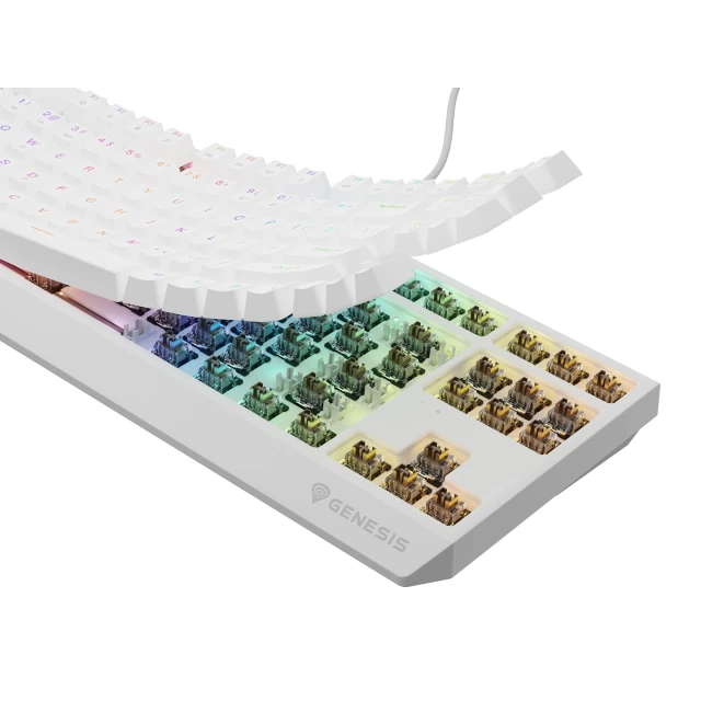 Клавіатура Genesis Thor 230 TKL USB RF Wireless US розкладка Black (5901969443301)