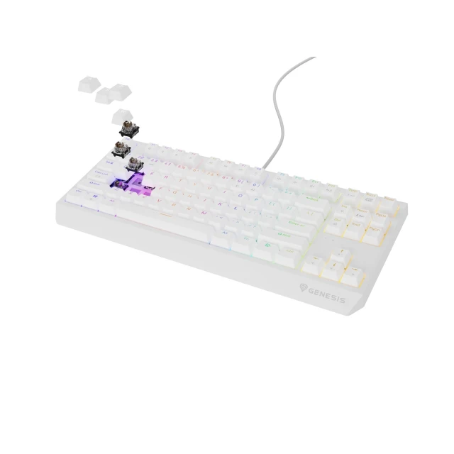 Клавіатура Genesis Thor 230 TKL USB RF Wireless US розкладка Black (5901969443301)