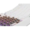 Клавіатура Genesis Thor 230 TKL USB RF Wireless US розкладка Black (5901969443301)