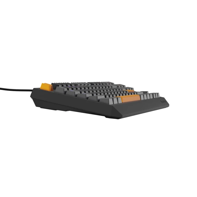 Клавіатура Genesis Thor 230 TKL ігрова US розкладка (5901969443318)