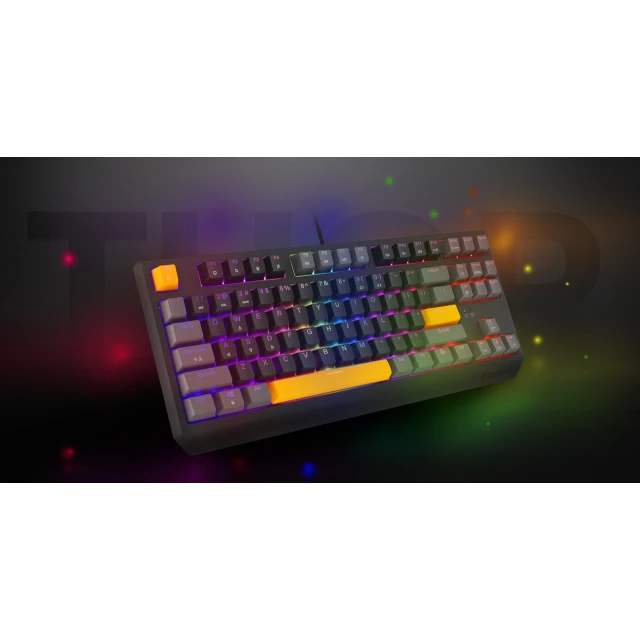 Клавіатура Genesis Thor 230 TKL ігрова US розкладка (5901969443318)