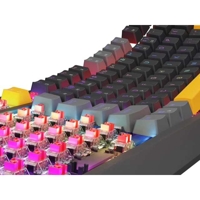 Клавіатура Genesis Thor 230 TKL ігрова US розкладка (5901969443318)