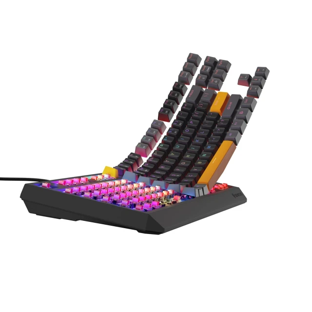 Клавіатура Genesis Thor 230 TKL ігрова US розкладка (5901969443318)