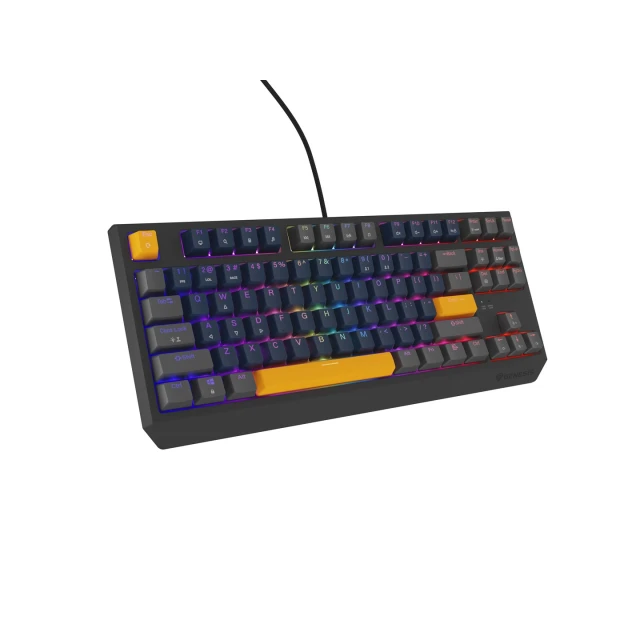 Клавиатура Genesis Thor 230 TKL игровая беспроводная USB RF Wireless Bluetooth US раскладка Black (5901969444445)