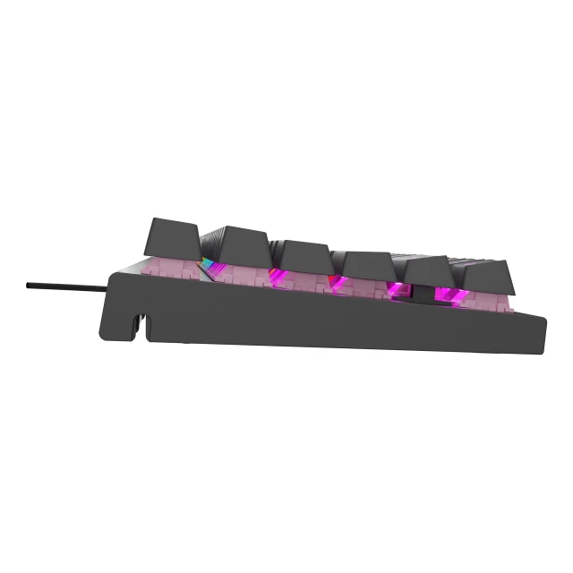Клавіатура Genesis NKG-2179 ігрова USB німецька розкладка Black (5901969444605)
