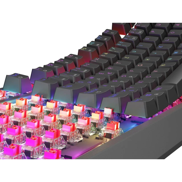 Клавіатура Genesis Thor 230 TKL ігрова механічна Outemu Red німецька розкладка Black (5901969444995)