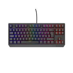 Клавиатура Genesis Thor 230 TKL игровая USB испанская раскладка Black (5901969445008)