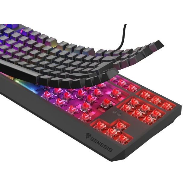 Клавіатура Genesis Thor 230 TKL ігрова USB іспанська розкладка Black (5901969445008)