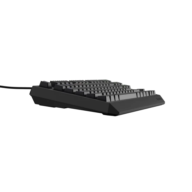 Клавіатура Genesis Thor 230 TKL ігрова USB іспанська розкладка Black (5901969445008)
