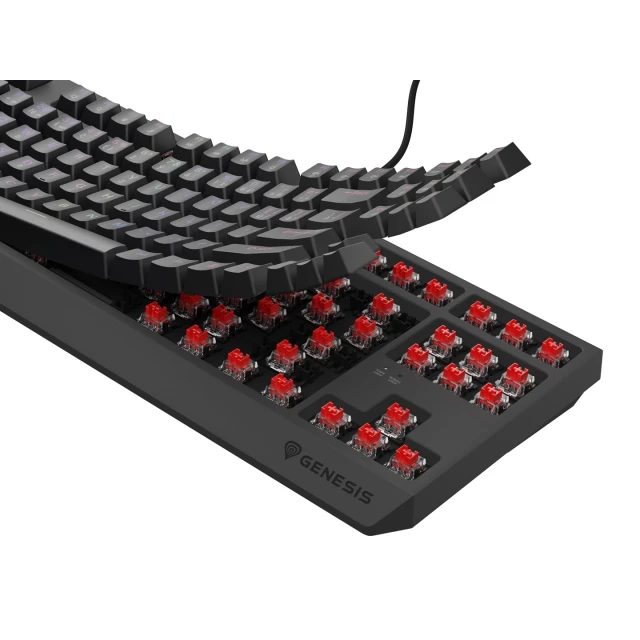 Клавиатура Genesis Thor 230 TKL игровая USB чешская/словацкая раскладка Black (5901969445015)