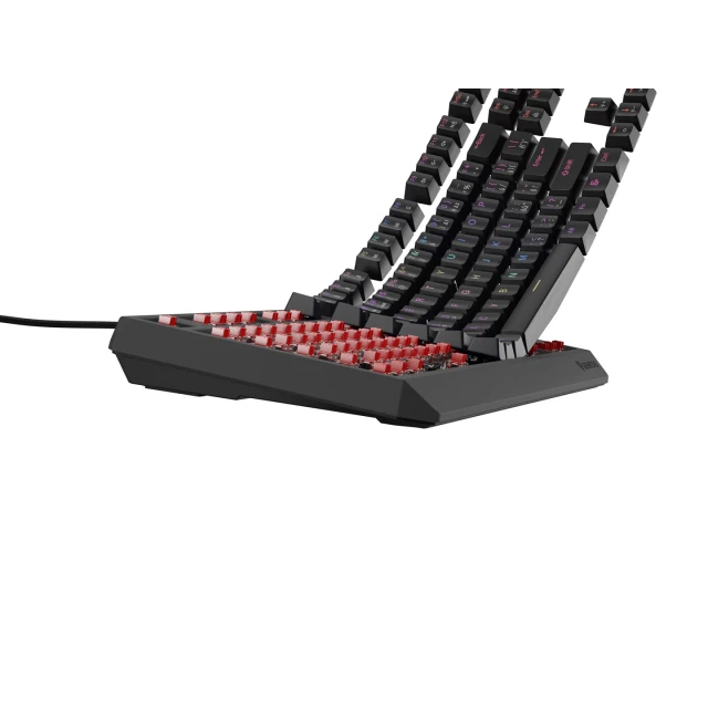 Клавиатура Genesis Thor 230 TKL игровая USB чешская/словацкая раскладка Black (5901969445015)