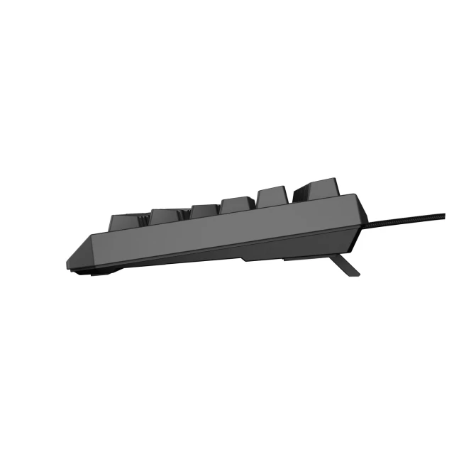 Клавиатура Genesis Thor 230 TKL игровая USB чешская/словацкая раскладка Black (5901969445015)