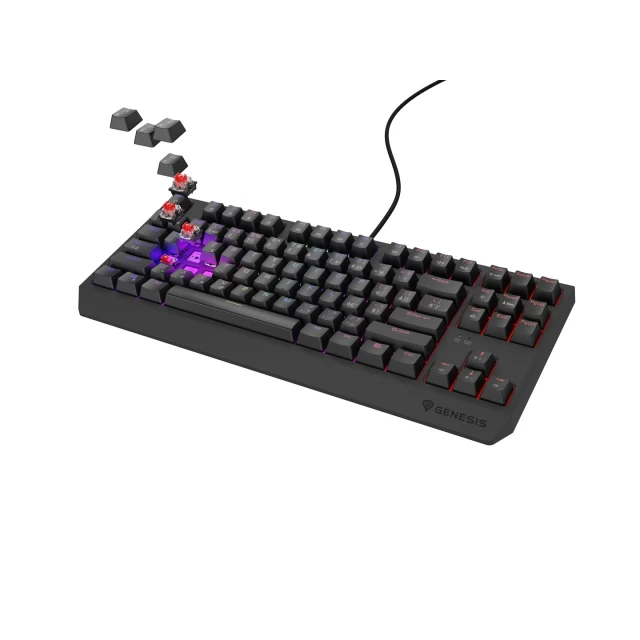 Клавиатура Genesis Thor 230 TKL игровая USB чешская/словацкая раскладка Black (5901969445015)