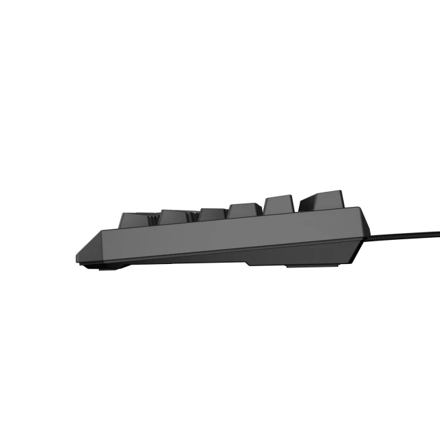 Клавиатура Genesis Thor 230 TKL игровая USB чешская/словацкая раскладка Black (5901969445015)