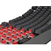 Клавиатура Genesis Thor 230 TKL игровая USB чешская/словацкая раскладка Black (5901969445015)