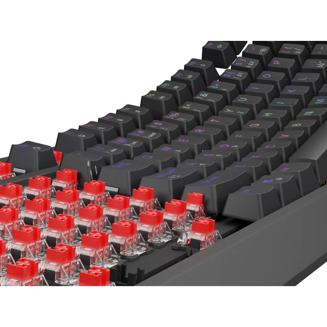 Клавиатура Genesis Thor 230 TKL игровая USB чешская/словацкая раскладка Black (5901969445015)