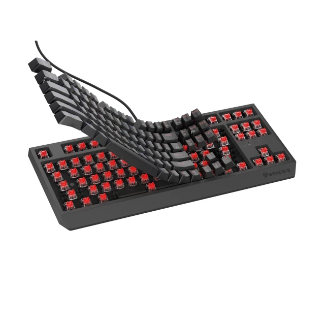 Клавиатура Genesis Thor 230 TKL игровая USB чешская/словацкая раскладка Black (5901969445015)
