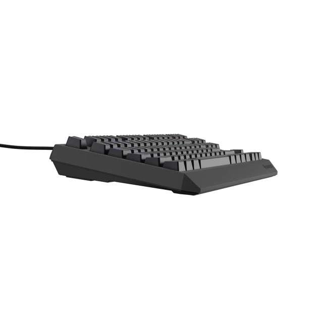 Клавиатура Genesis Thor 230 TKL игровая USB чешская/словацкая раскладка Black (5901969445015)