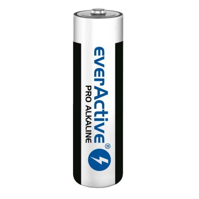 Батарейка everActive Alkaline AA LR6 10 шт (5902020523772)