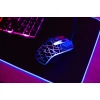 Комплект ART AK-50 клавиатура USB A QWERTY с подсветкой + мышь USB A с подсветкой Black (5902115409028)