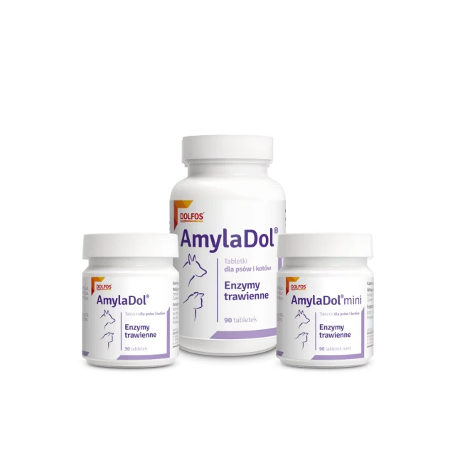 Кормова добавка для собак і котів Dolfos AmylaDol для травлення 90 таблеток (5902232645255)