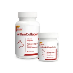 Кормова добавка для собак Dolfos ArthroCollagen з колагеном і хондроїтином 90 таблеток (5902232645910)