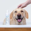 Шампунь для собак і котів VetExpert Hypoallergenic 250 мл (5902414200319)