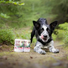 Влажный корм для щенков VetExpert Raw Paleo Puppy с говядиной 400 г (5902414202757)