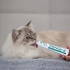 Паста для котів VetExpert TrichoCat Anti-bezoar 120 г (5902414215221)