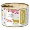 Ветеринарна дієта для котів 4Vets Natural Cat Urinary Non-struvite 185 г (5902811741309)