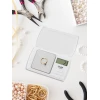 Ваги прецизійні Adler AD 3161 500 г White (5902934830874)