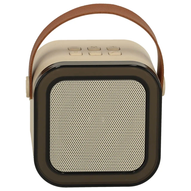Караоке-система IKONKA з 2 мікрофонами Bluetooth RGB 6 Вт Beige (5903039757257)