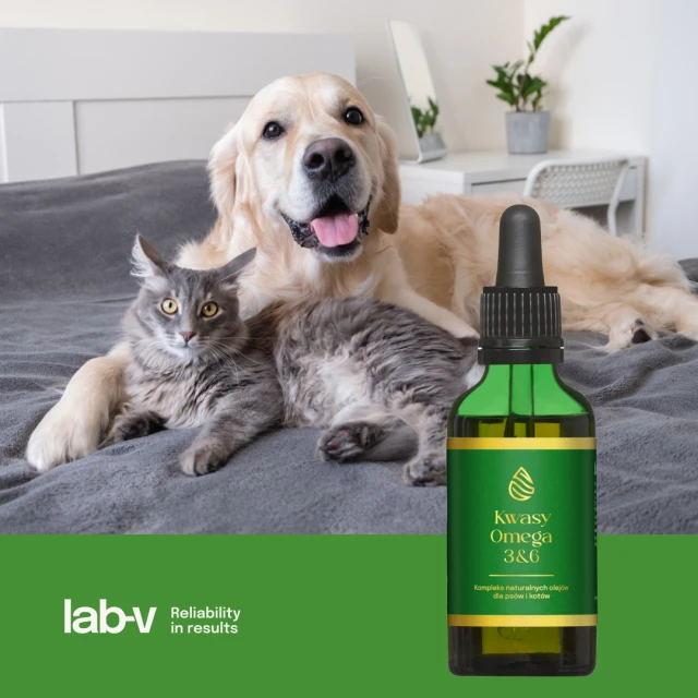 Кормова добавка для собак і котів LAB-V Omega 3 і 6 100 мл (5903240466986)