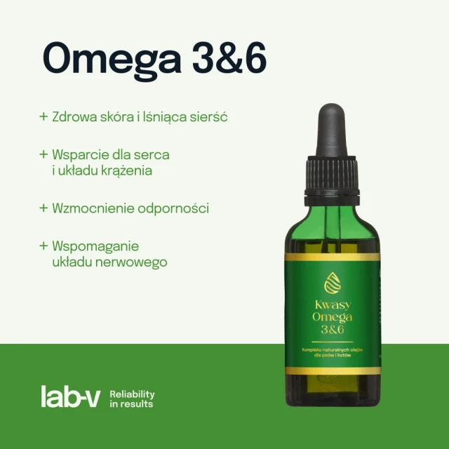 Кормова добавка для собак і котів LAB-V Omega 3 і 6 100 мл (5903240466986)