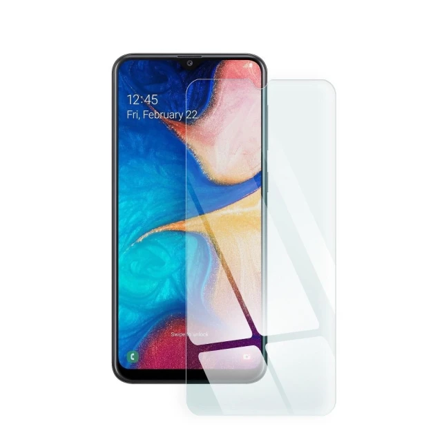 Захисне скло Blue Star для Samsung Galaxy A20 (5903396000591)