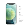 Захисне скло Blue Star для iPhone 12 mini Clear (5903396072413)