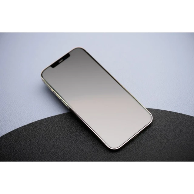 Захисне скло Forcell Matt Glass для iPhone 13 Pro / iPhone 14 Black (5903396315992)