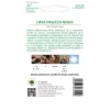 Насіння Ротики низькі мікс W.Legutko (5903837031009)