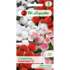 Насіння Маргаритка багаторічна W.Legutko Pomponette мікс (5903837046003)