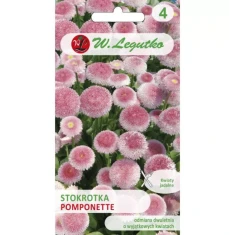 Насіння Маргаритка багаторічна W.Legutko Pomponette рожева (5903837046126)