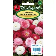 Насіння Маргаритка багаторічна великоквіткова мікс W.Legutko (5903837046546)