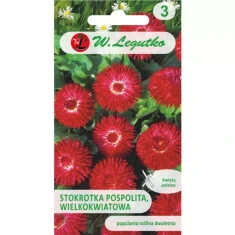 Насіння маргаритки багаторічної великоквіткової W.Legutko 'Gracja' Red (5903837046652)