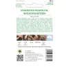 Насіння маргаритки багаторічної великоквіткової W.Legutko 'Gracja' Red (5903837046652)