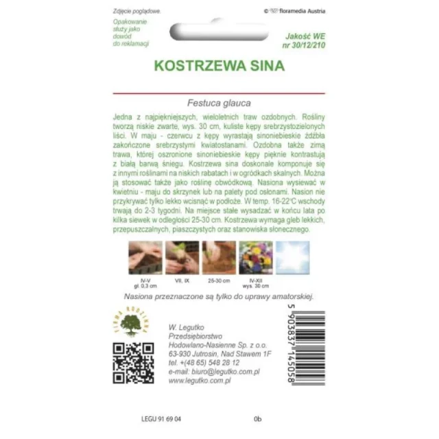 Насіння Костриці сизої трава декоративна срібно-синя W.Legutko (5903837145058)